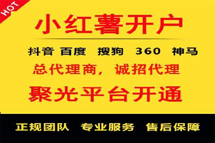 竞价排名广告投放案例